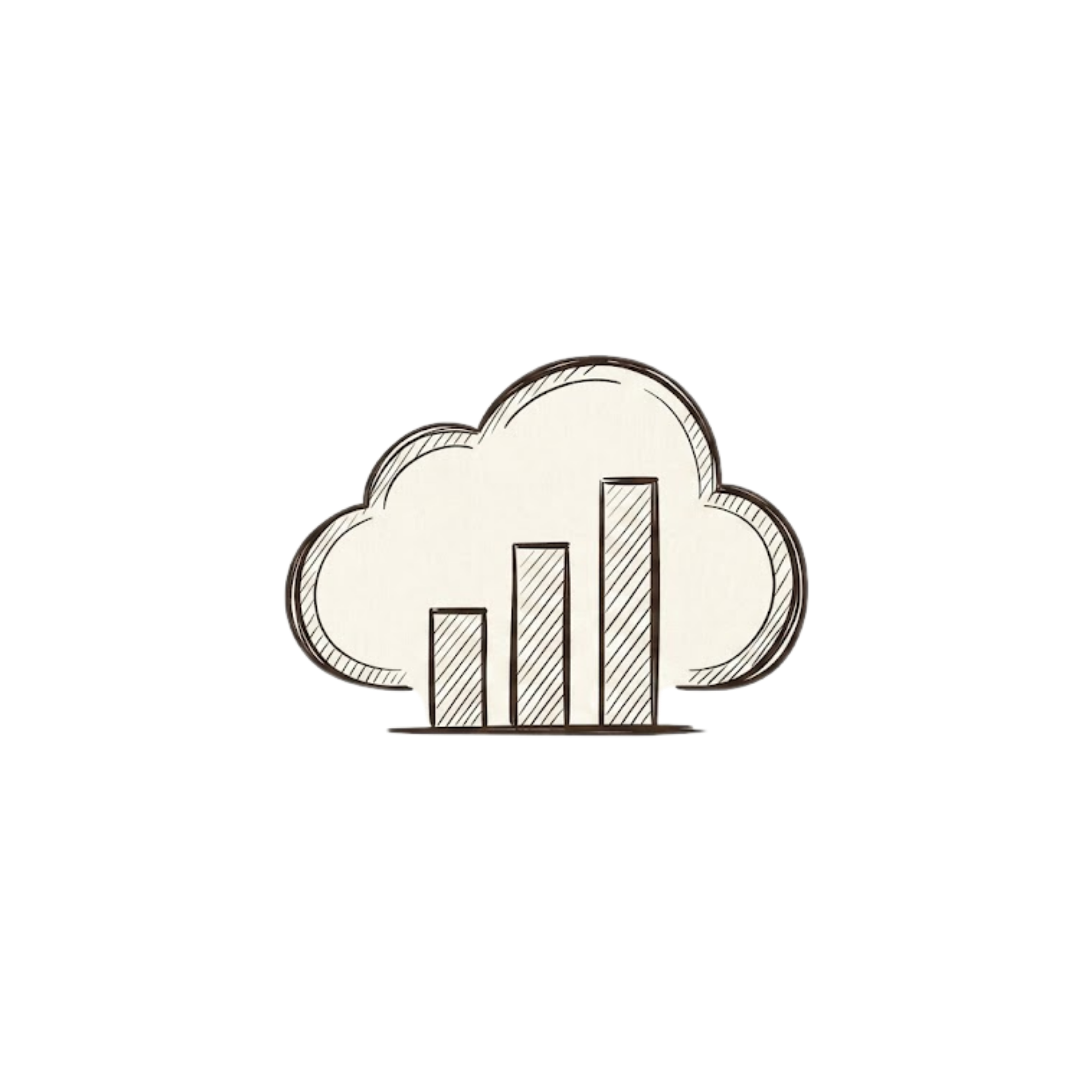 SaaS Provider